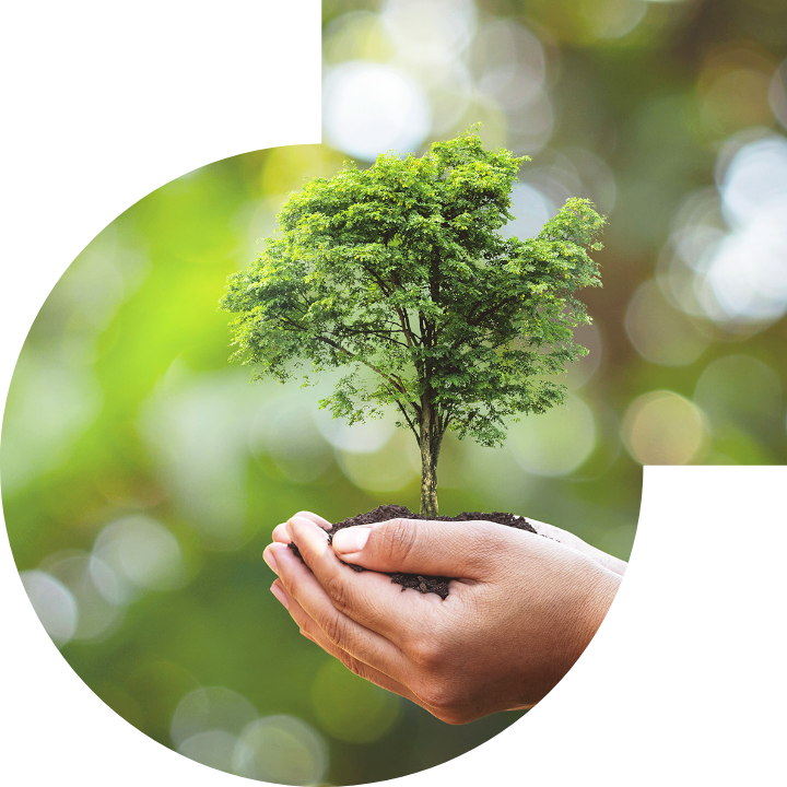 关怀人类、文化、环境与社会